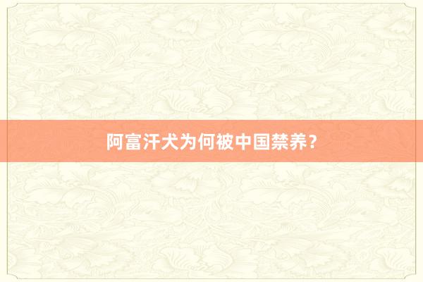 阿富汗犬为何被中国禁养？