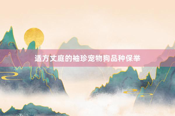 适方丈庭的袖珍宠物狗品种保举